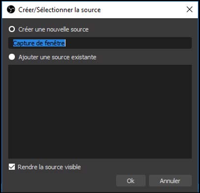 Capture d'écran de l'espace de travail d'OBS avec une sélection de source.